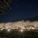 화왕산오토캠핑장 이미지