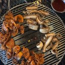 1530도직화구이집 | [목동 꼼장어] 불향 가득한 꼼장어 맛집 1530도직화구이집
