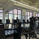 하이샐러드 이미지