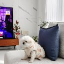 그린화성주유소 이미지