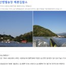 성산벧엘농장 친환경농법 양구메론 체험단 모집