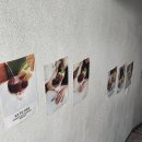꽃다실 | 부산 서면 전포 감성카페 ‘사랑방다실’ 푸딩 맛집 | 내돈내산 솔직 후기 가격