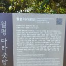 월평다라쿳당 이미지