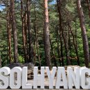 솔향수목원(제3주차장) 이미지