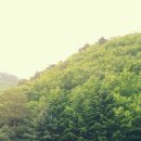 석이농장 이미지