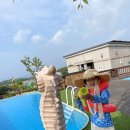 솜니움트리 이미지