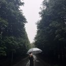 복기목장 네이버블로그