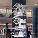 엠비규어스 댄스컴퍼니 바디콘서트 이미지