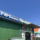 석문농협하나로마트 이미지