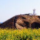 힐링코스 이미지