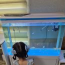 칠곡동물체험카페 이미지