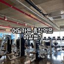 더페밀리