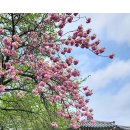 면천군자정 이미지