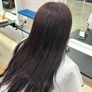 해원 동물병원 | [전남]순천 조례동 미용실 톤다운 염색 후기 : 에이치헤어