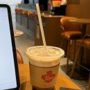 코코넛19 | 중국 상하이 여행 푸동공항 2터미널 팀홀튼 코코넛 라떼 후기