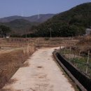 양지바른공인중개사사무소 이미지
