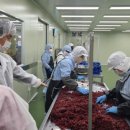 과일백화점 이미지