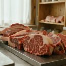 비엠(BM) 이미지