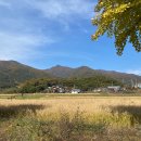 중바위캠핑장 이미지