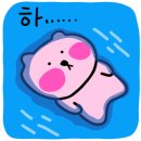 폴라스튜디오 이미지