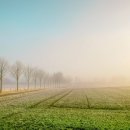 賴及萬方 이미지