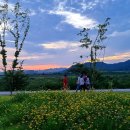 금강변길 이미지