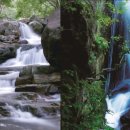 금천계곡 야영장 이미지