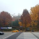 우면산6-11 이미지