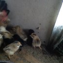 세심농장 이미지