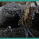 팔공산로 이미지