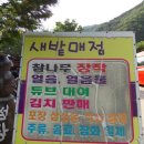 새밭매점