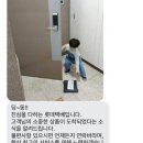 퍼니전자 네이버블로그