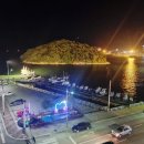 완도네시아 이미지