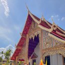 일등카써비스 | 태국 치앙마이 여행 그랩(Grab) 사용법 트래블패스 공항 픽업 후기