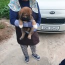 찬희농장 이미지