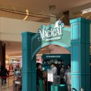 스타애견 | 스타필드 수원 스타벅스 베어리스타 팝업 | 애견동반 후기, 크리스마스 굿즈 할인