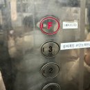 더홀릭 이미지