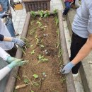 담양군농업기술센터 | 💛담양농업기술센터 퍼머컬쳐 교육5