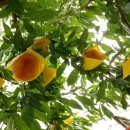 홍천내고향마트 이미지