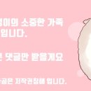 벳넷
