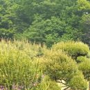 한수목장 이미지