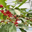 (주)서진팜 이미지