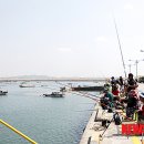 삼길포항 이미지