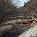 함허동천 시범야영장 이미지