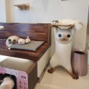 아이조아 캣파크 서울점 이미지