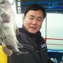 해조호