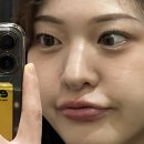 부엉이산장 마곡 | [서울] ‘부엉이 산장’ 마곡점-발산역 9번 출구ㅣ안주 맛집ㅣ분위기 술집ㅣ내돈내산ㅣ광고Xㅣ솔직후기