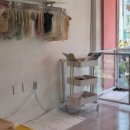 꽃단장 애견미용실 이미지