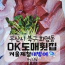 올레카센타 | 《OK도매횟집 화명산성터널점》 화명동맛집/화명동횟집추천/대방어회/부산대방어맛집 방문후기