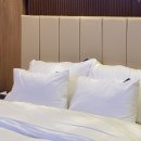 브라운도트호텔 안동옥동점 이미지